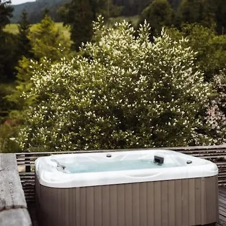 Birken رامساو أم داتشستين